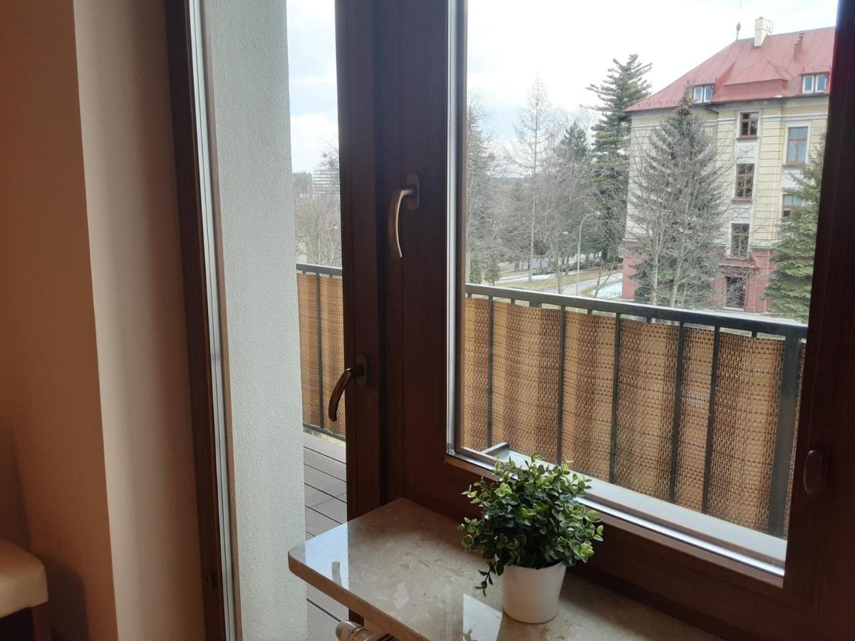 Academy Apartment Cieszyn Цешин Экстерьер фото