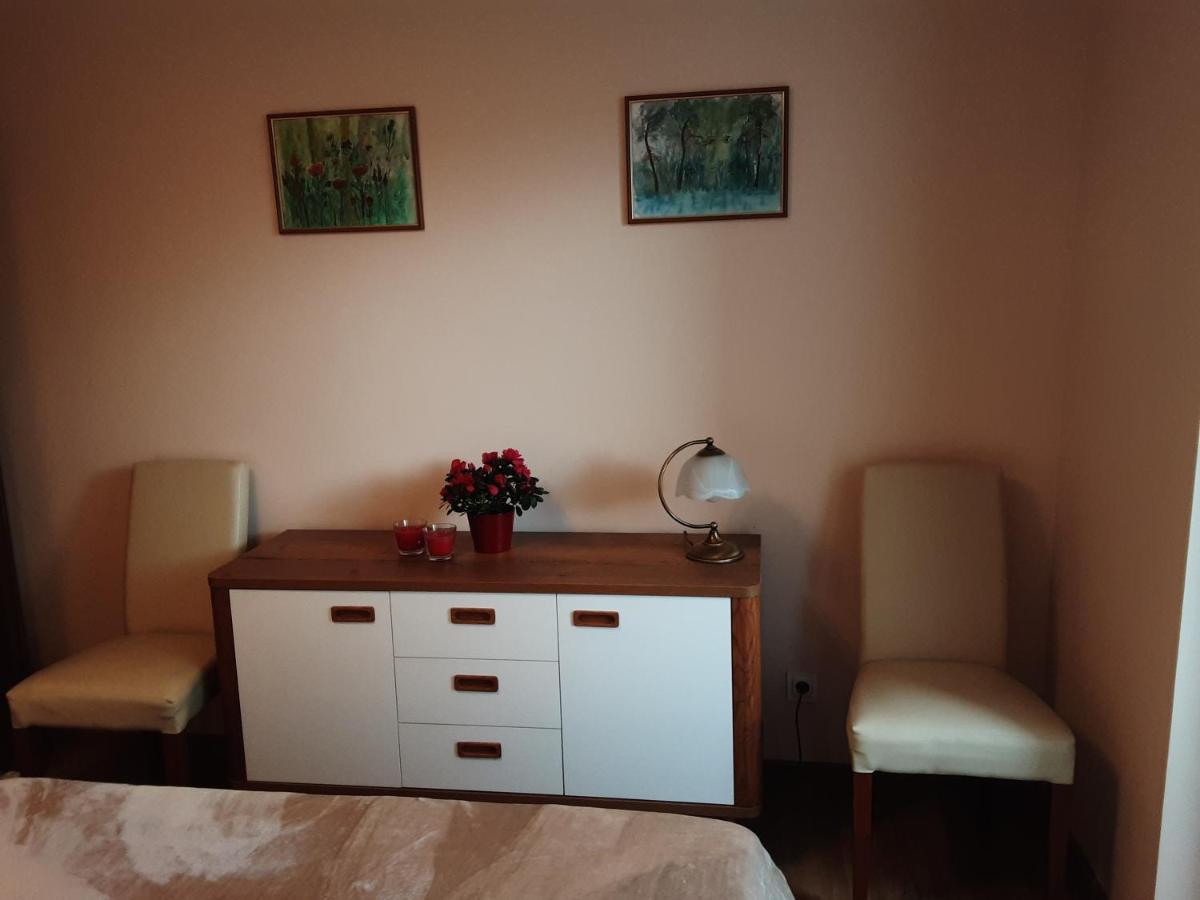 Academy Apartment Cieszyn Цешин Экстерьер фото