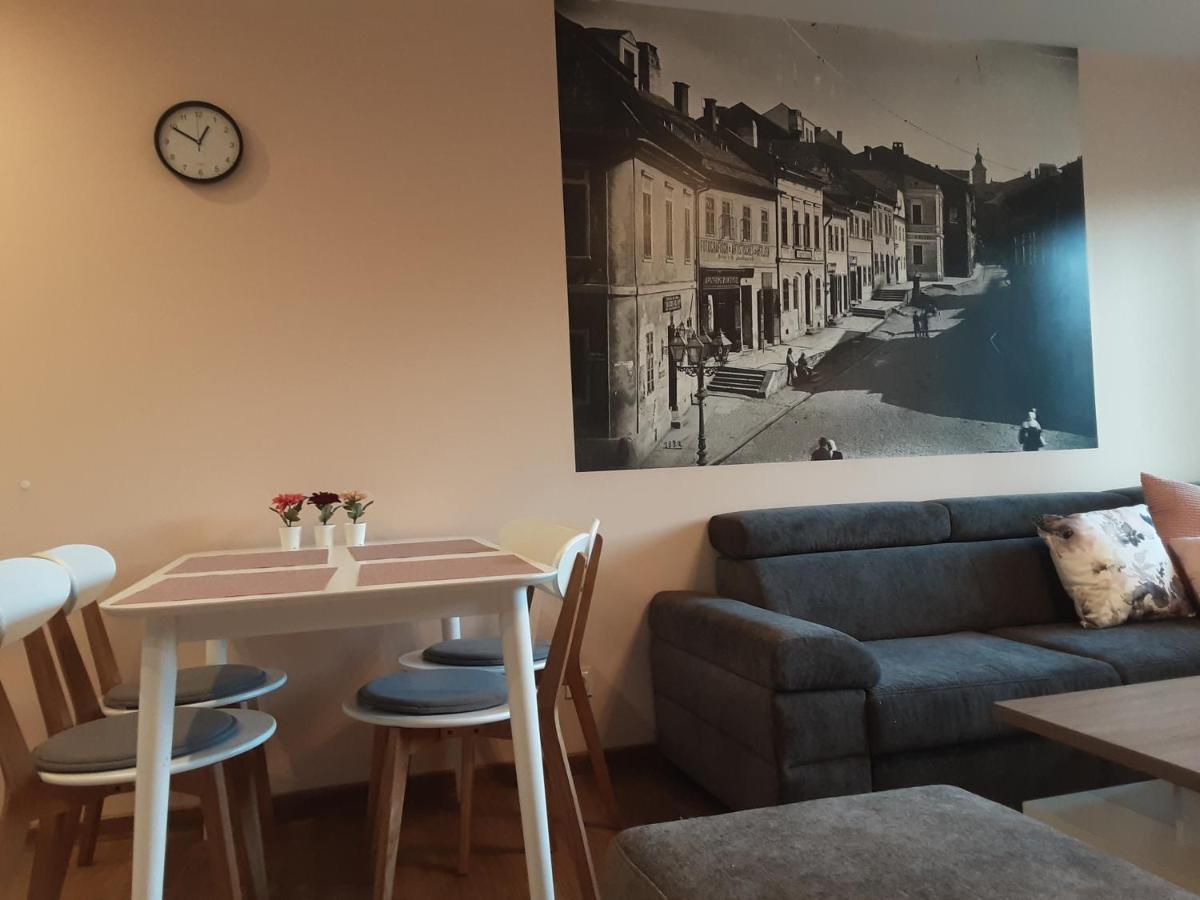 Academy Apartment Cieszyn Цешин Экстерьер фото