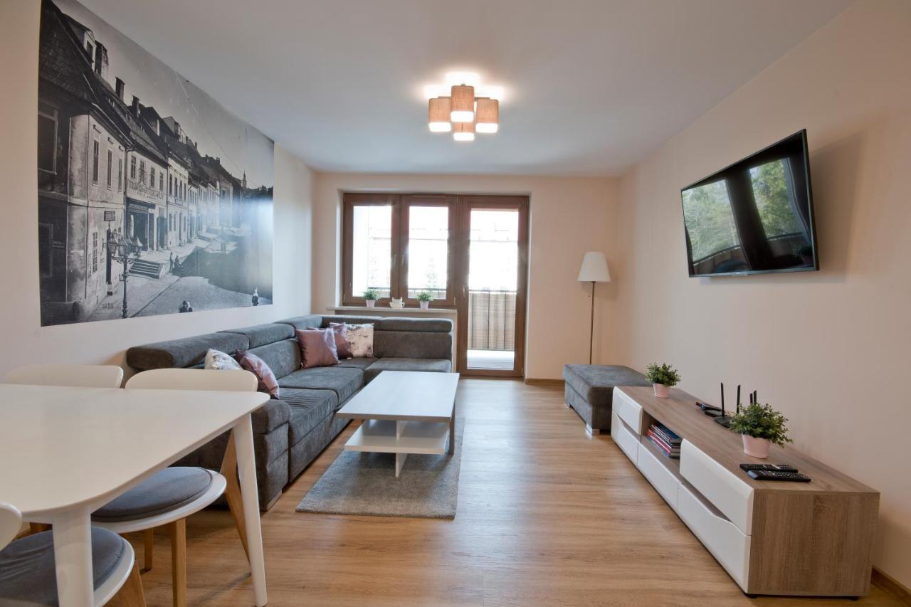 Academy Apartment Cieszyn Цешин Экстерьер фото