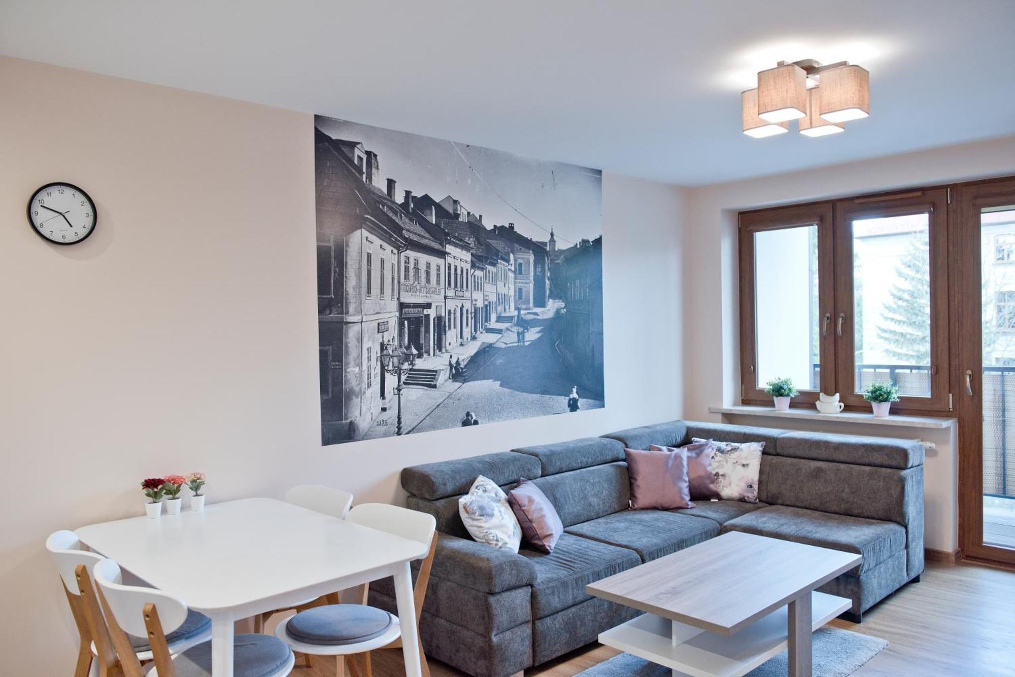 Academy Apartment Cieszyn Цешин Экстерьер фото